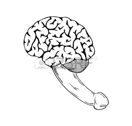 450x431 Human Brain With Penis On White Background, Isolated, Sketch