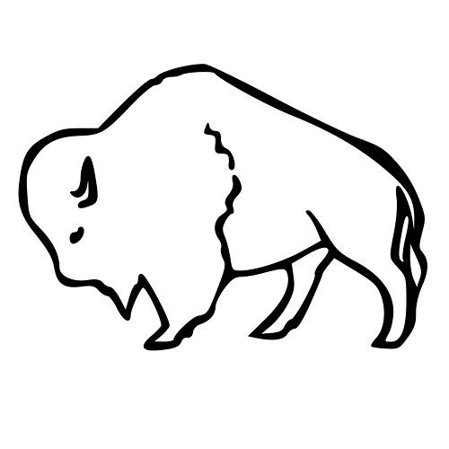500x500 Buffalo Clipart Buffalo Outline Clipart