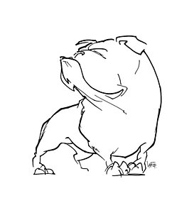 273x300 Bulldogs Drawings Fine Art America