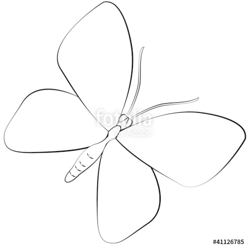 500x500 Cartoon Butterfly. Stock Image And Royalty Free Vector Files