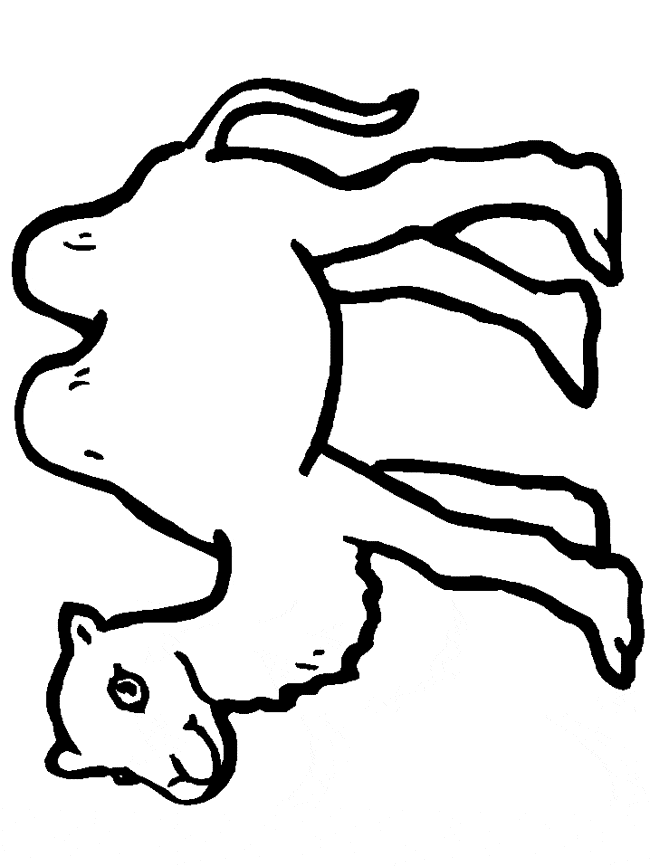 650x866 Camel Coloring Page
