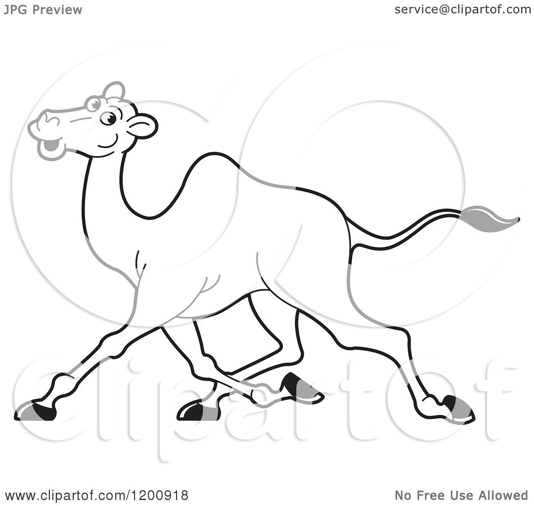 1080x1024 Cartoon Of A Black And White Outlined Running Camel