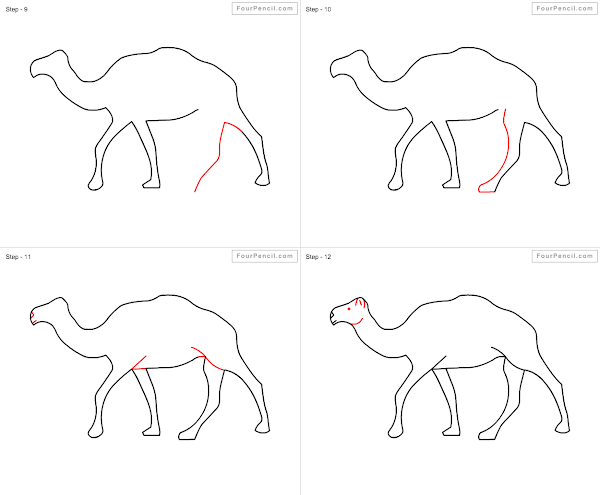 600x495 Fpencil How To Draw Camel For Kids Step By Step