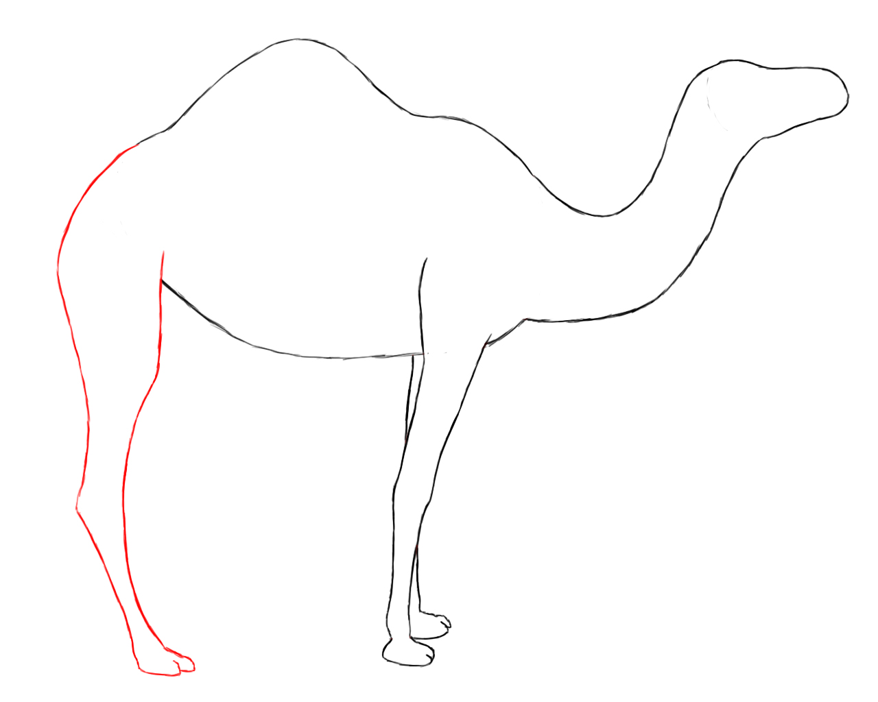 1280x1024 How To Draw A Camel