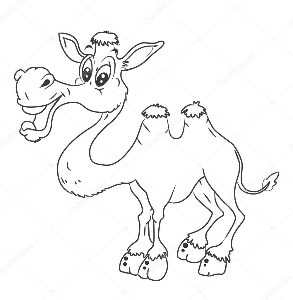 1001x1023 Black And White Camel Cartoon Illustration Stock Vector