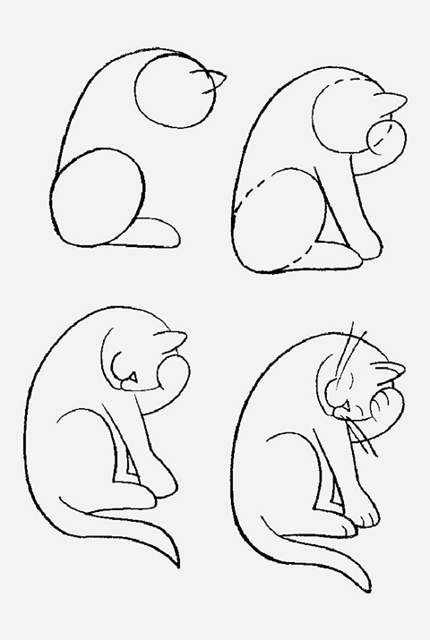 480x715 Learn How To Easily Draw A Cat Diy And Tutorials