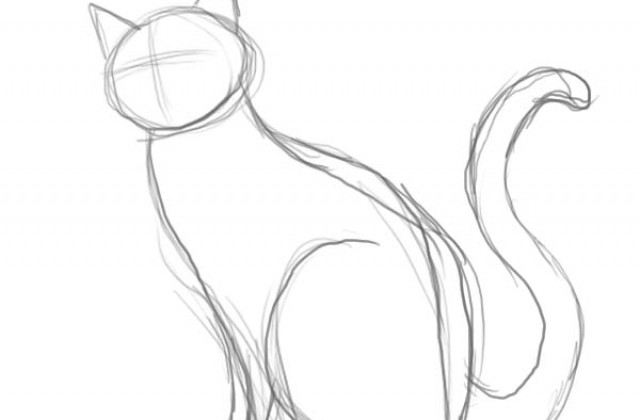 640x420 Tag For Step By Step Drawing Cats How To Draw A Warrior Cat Step