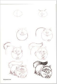 236x345 How To Draw A Sleeping Cat Step By Step