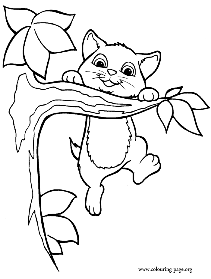 700x922 How To Draw Cats Cute Cartoon For Kids Kitten Coloring Pages