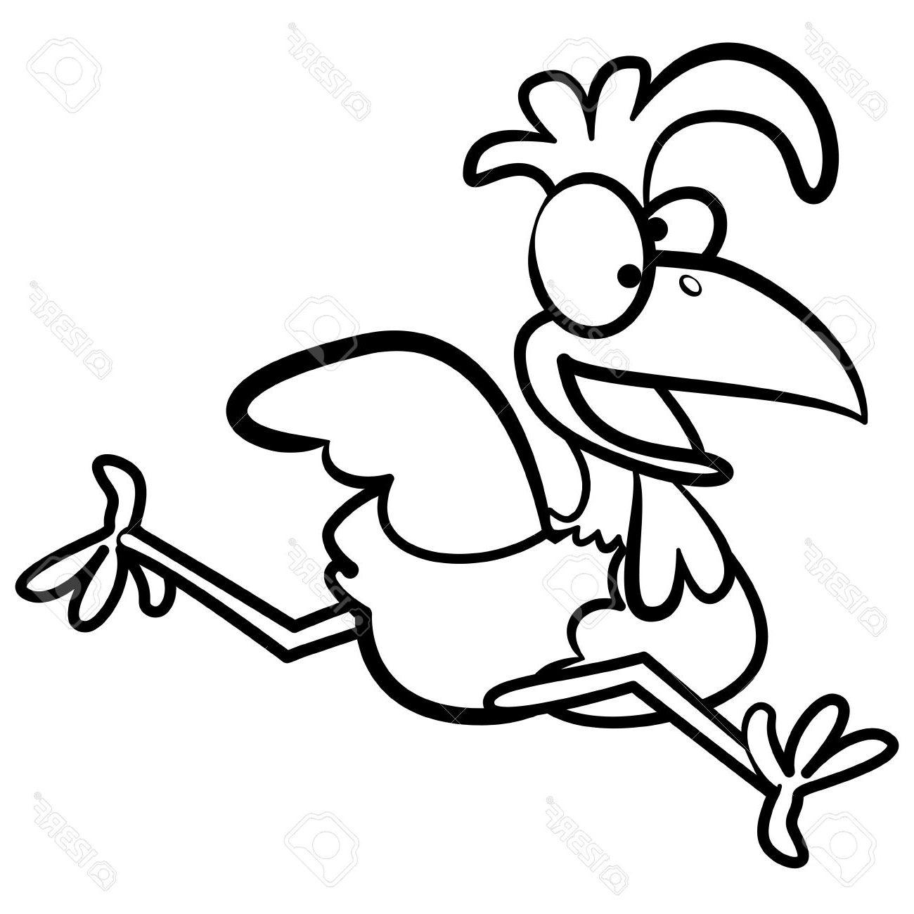 1300x1300 Coloring Humor Cartoon Chicken Running With White Background
