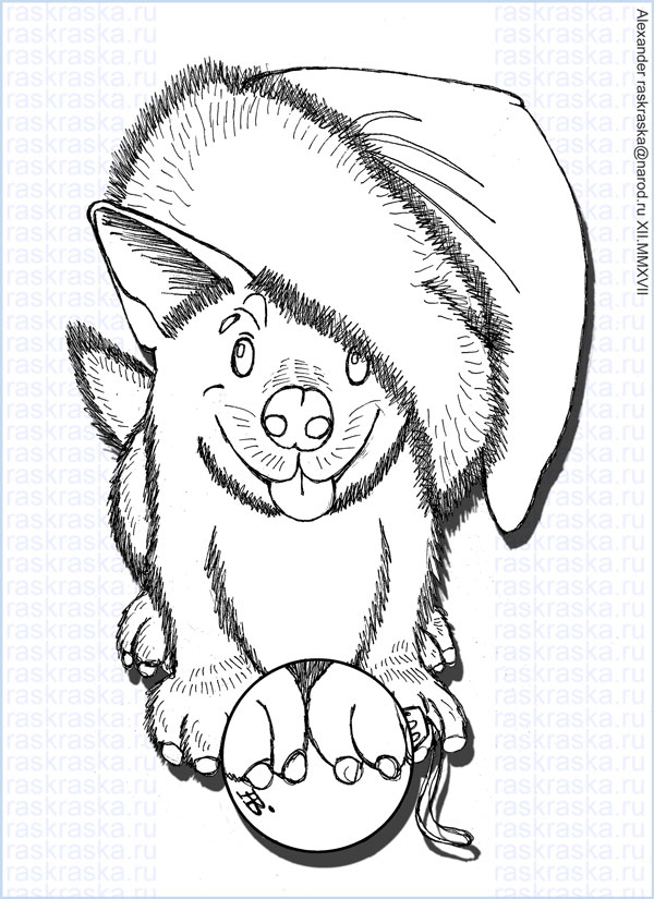 600x825 Contour Drawing Of Corgi Dog For Print. New Year's Coloring Book.