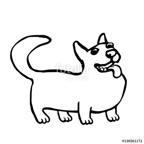 500x500 Corgi Dog Isolated Vector Illustration. Funny Cartoon Fur. Contour