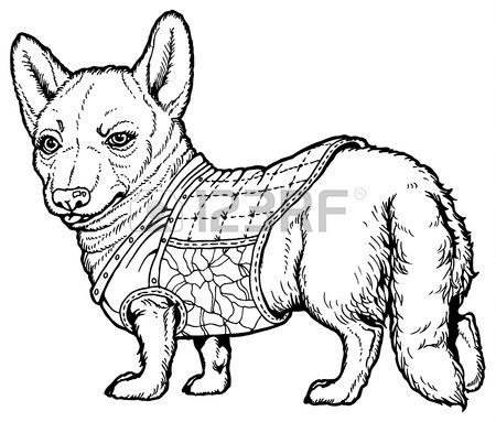 450x383 Vector Dog Pembroke Welsh Corgi Breed In Clothes Royalty Free
