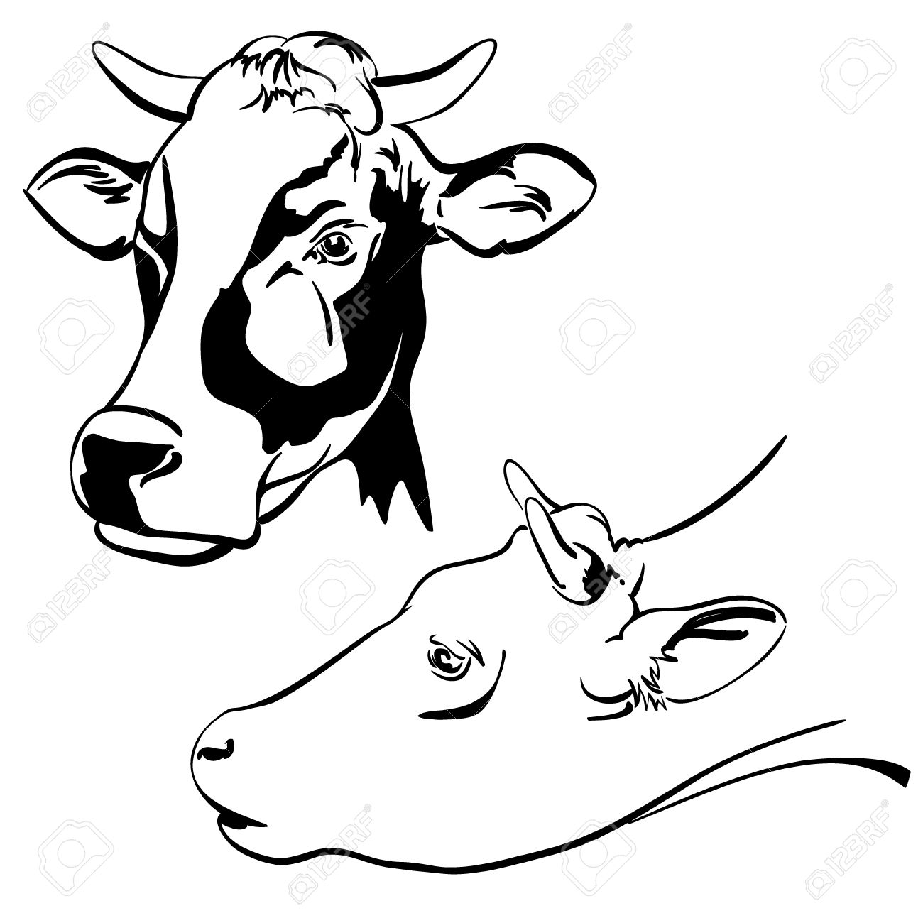 1300x1300 Cow Set Cartoon Vector Illustration Sketch Royalty Free Cliparts