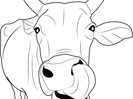 440x330 This Is Cow Coloring Pages Pictures Cartoon Cow Coloring Pages