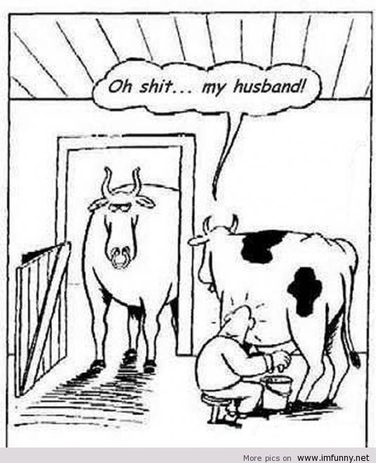 535x658 Cow Cartoon Funny Surprise
