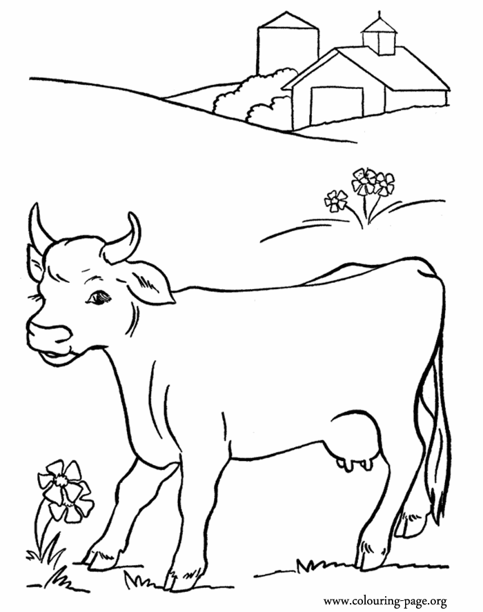 700x887 Cows Coloring Pages 507237