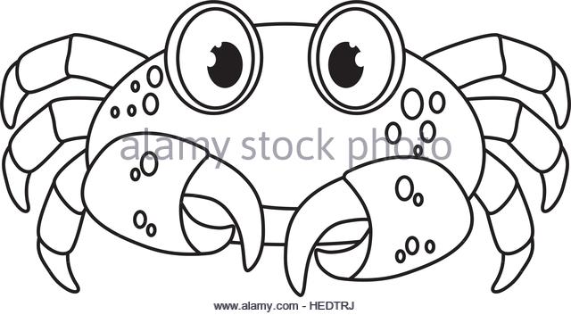 640x353 Black White Drawing Crab Stock Photos Amp Black White Drawing Crab