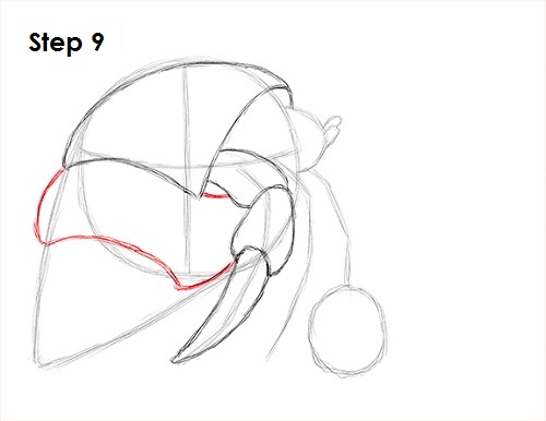 500x386 How To Draw A Hermit Crab