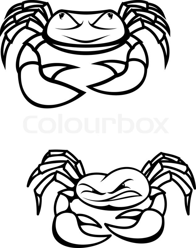 635x800 Two Crabs With Claws As A Symbol Of Seafood Stock Vector Colourbox