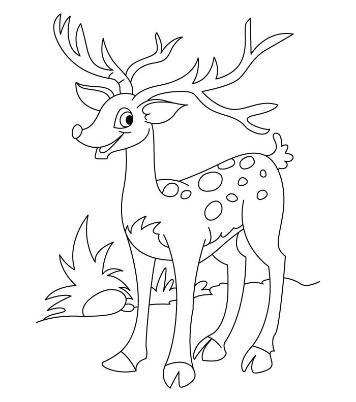 700x792 Deer Templates