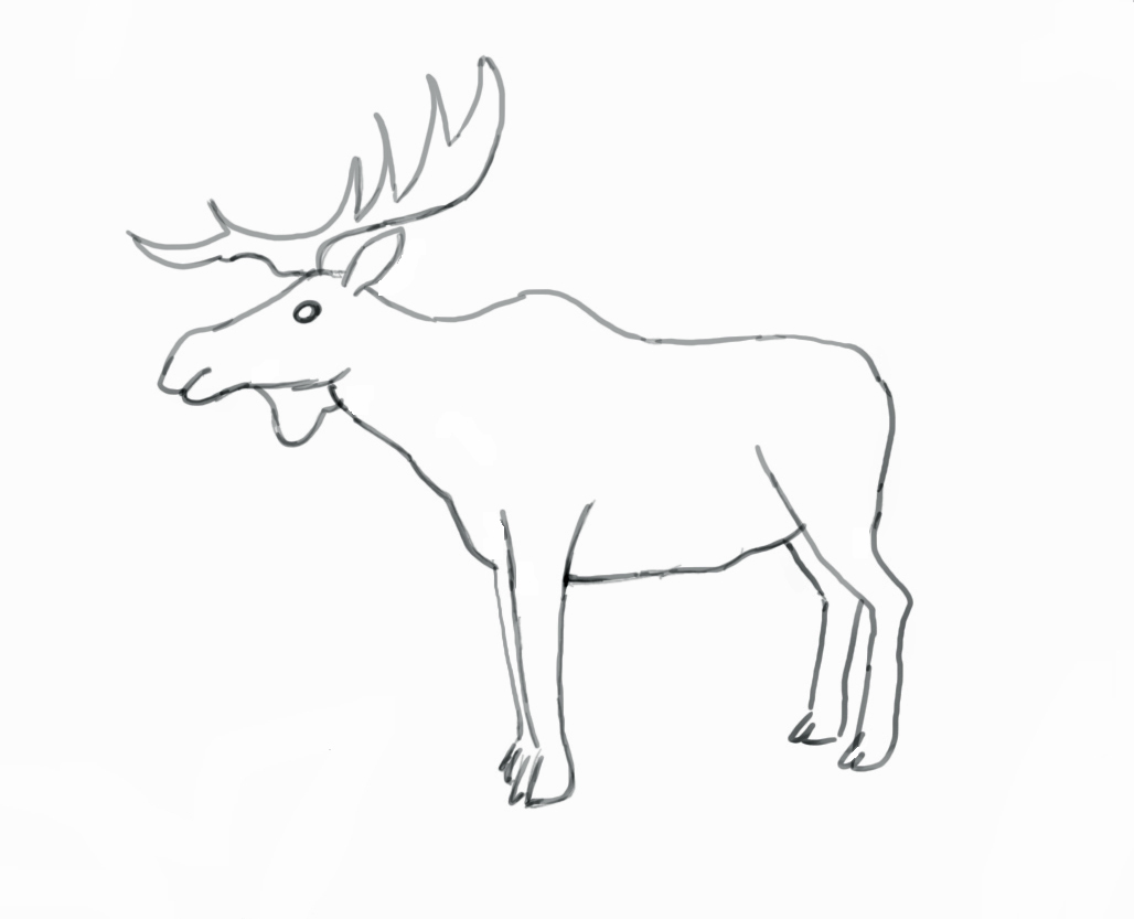 1028x833 How To Draw A Moose