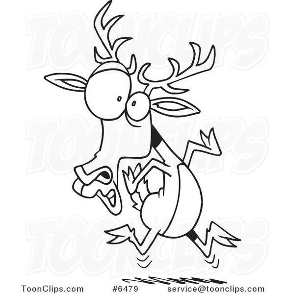 581x600 Cartoon Black And White Line Drawing Of A Scared Deer
