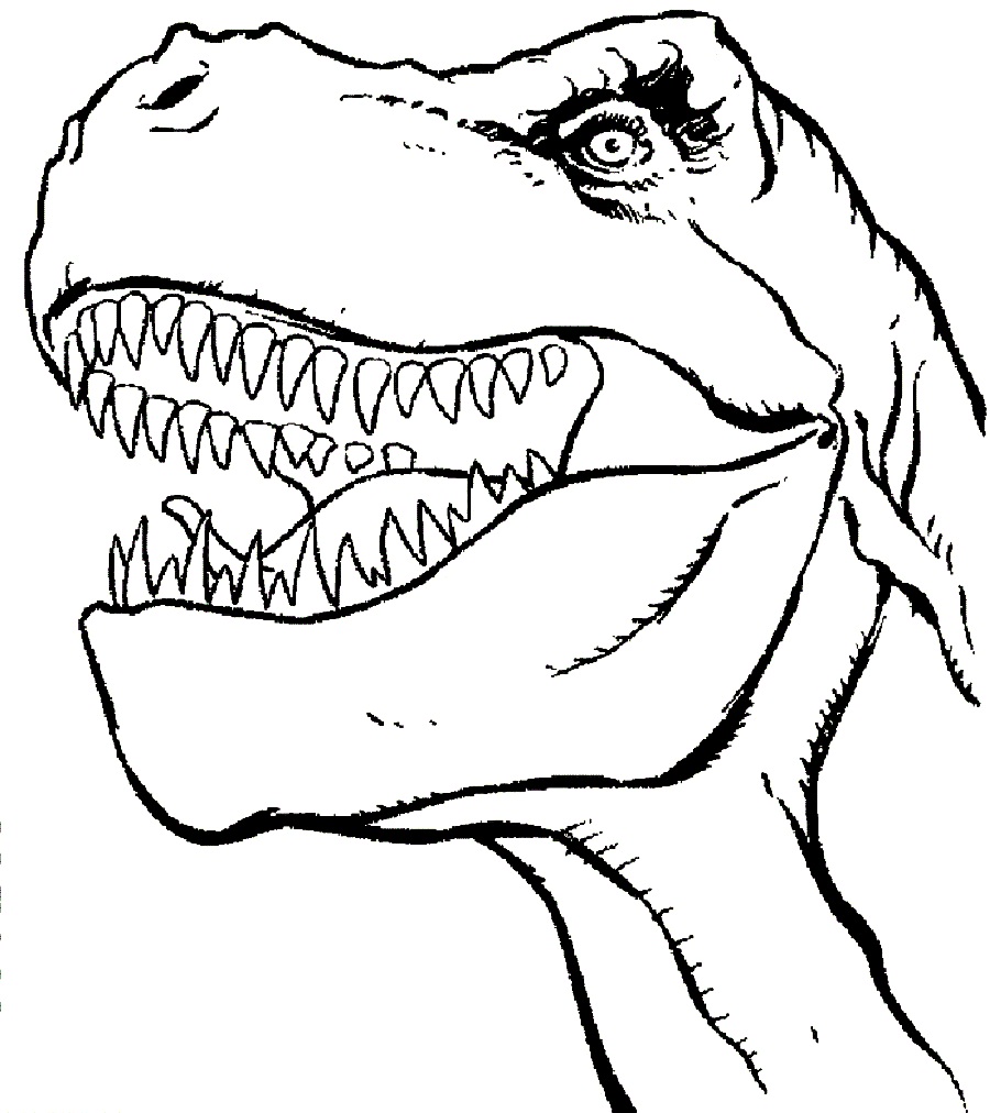 900x1012 Dinosaurs Head Coloring Pages Colouring In Funny Draw Print