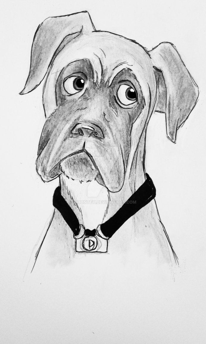 692x1154 Sketch Cartoon Dog By Dhontey