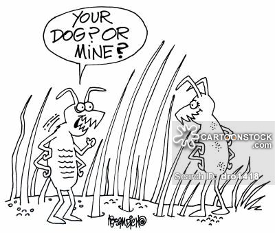 400x339 Dog Fur Cartoons And Comics