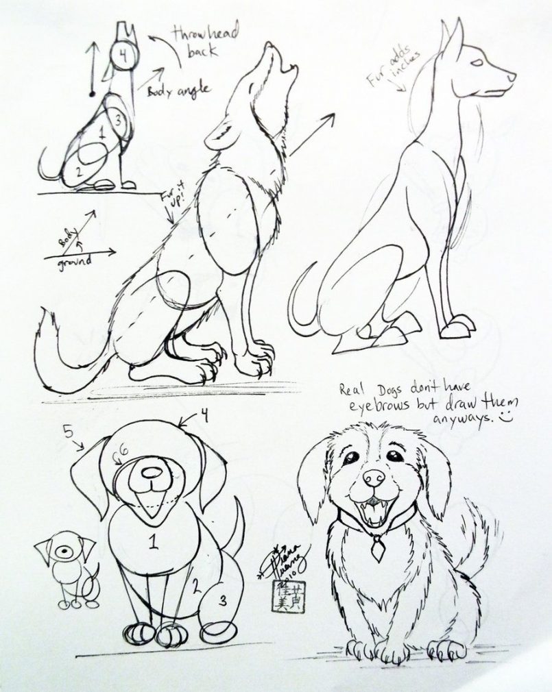 805x1010 Drawing How To Draw A Cartoon Dog Lying Down Plus How To Make