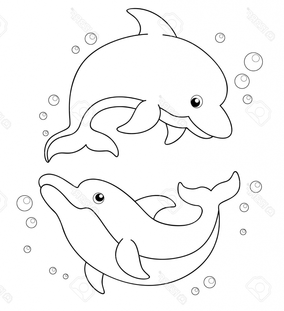 934x1024 Cartoon Dolphin Drawings How To Draw A Cartoon Dolphin
