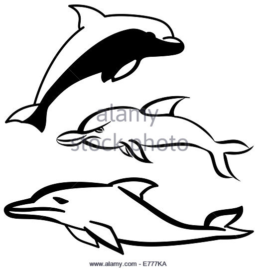 520x540 Cartoon Dolphin Stock Photos Amp Cartoon Dolphin Stock Images