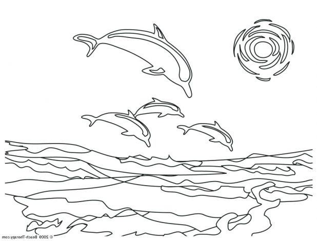 618x470 Cartoon Drawing Dolphin Art Library Miami Pictures Color Dolphins
