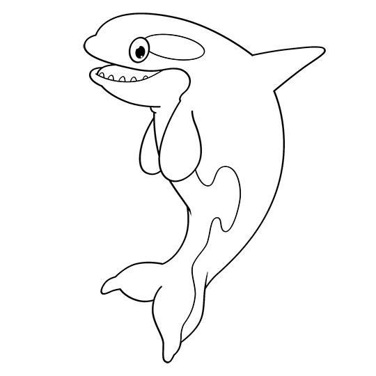 540x540 Cartoon Orca Step By Step Drawing Lesson