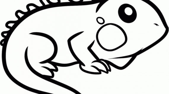 570x320 Animal Cartoon Drawings Drawing Animal Cartoons