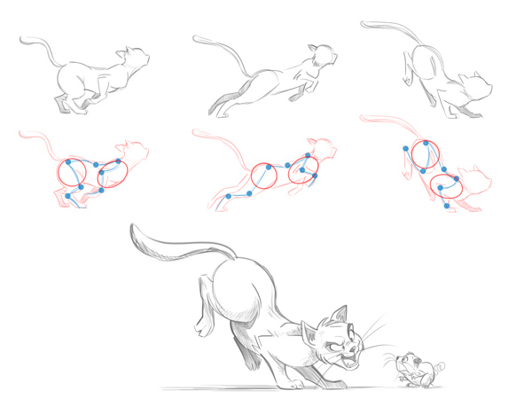 600x450 Cartoon Fundamentals The Secrets In Drawing Animals