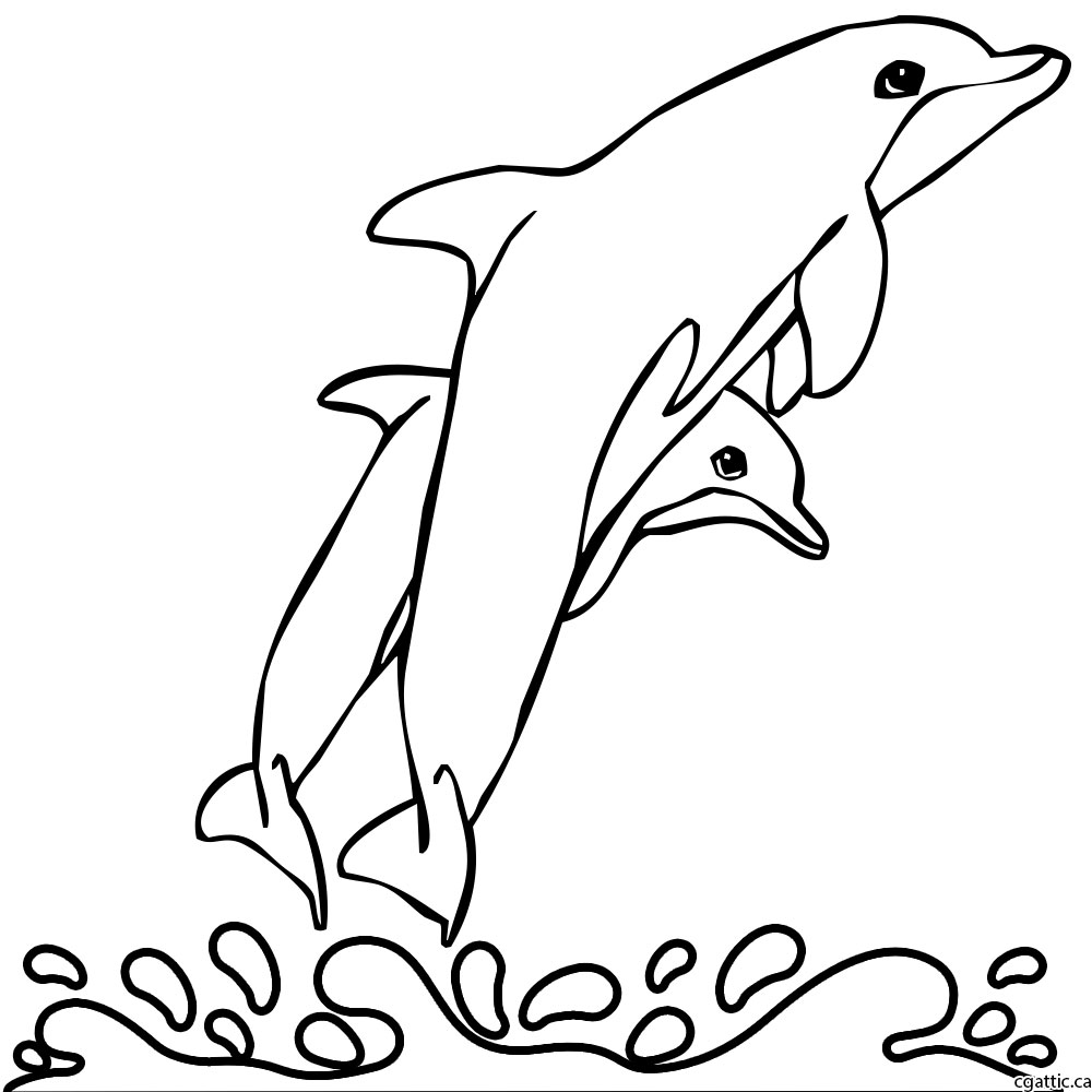 1000x1000 Cartoon Dolphin Drawing In 4 Steps With Photoshop