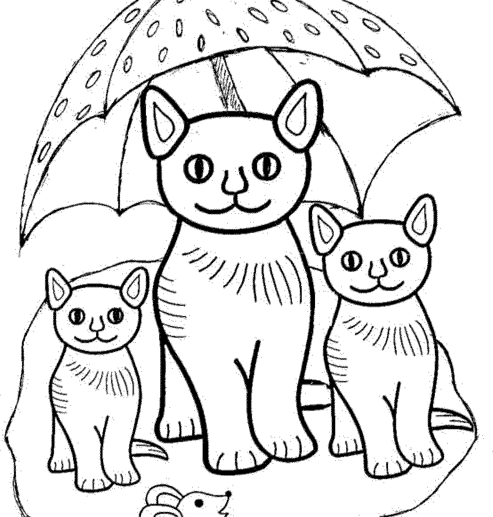 1000x1050 Blaze The Cat Coloring Pages To Download Cartoon Cartoons