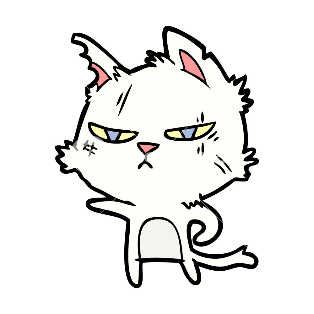 1000x1000 Tough Cartoon Cat Pointing Royalty Free Stock Image