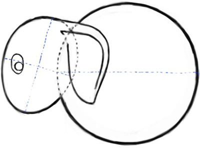 400x296 How To Draw Cartoon Elephants With Easy Steps Drawing Lesson