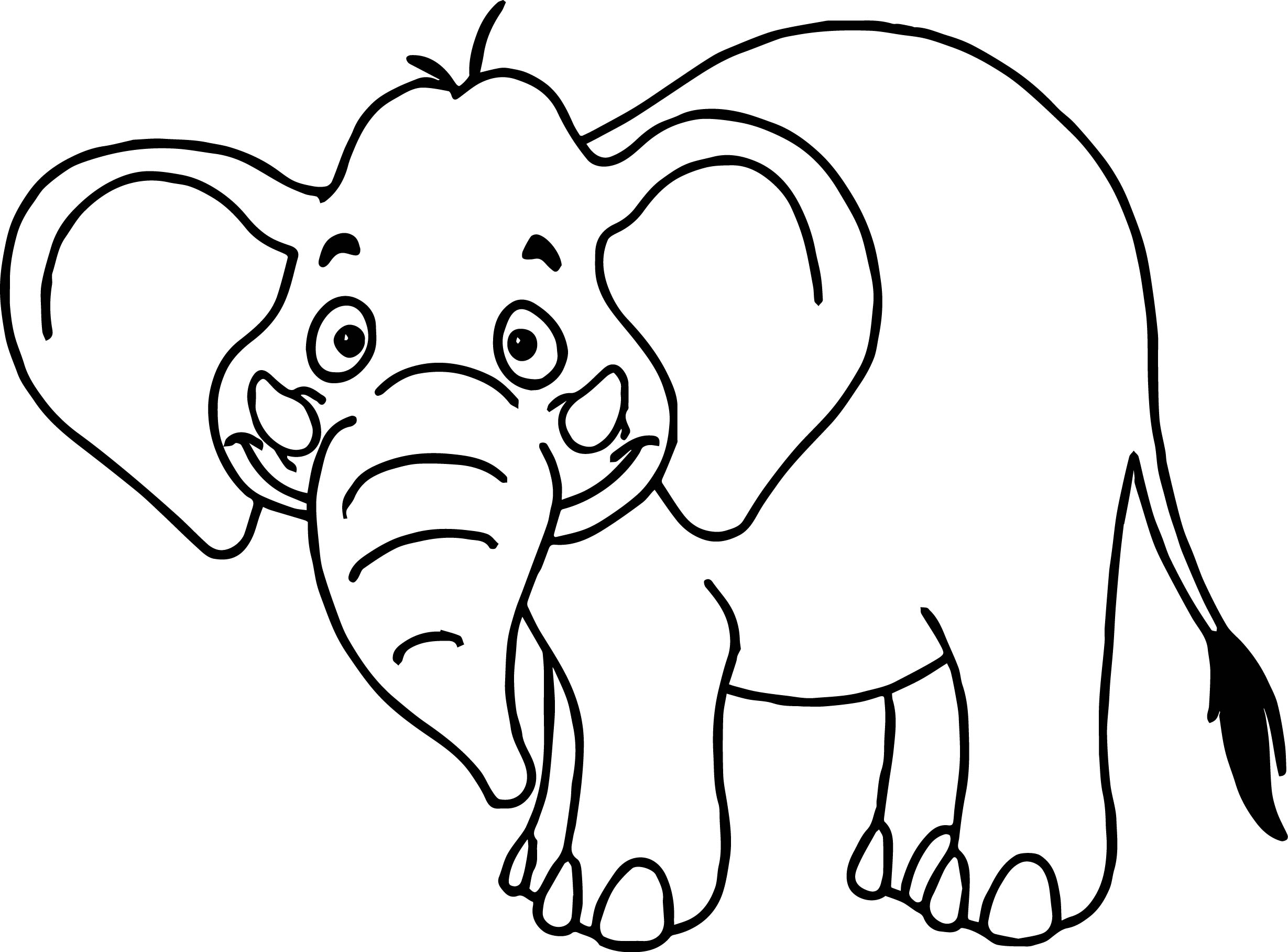 2458x1816 Zoo Animals Tropical Cartoon Wild Elephant Coloring Page