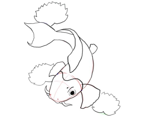 600x500 Koi Fish Drawings