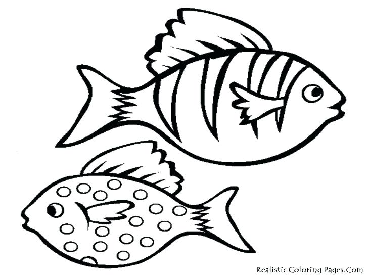 728x546 Realistic Fish Coloring Pages Fish Color Pages Printable Fish