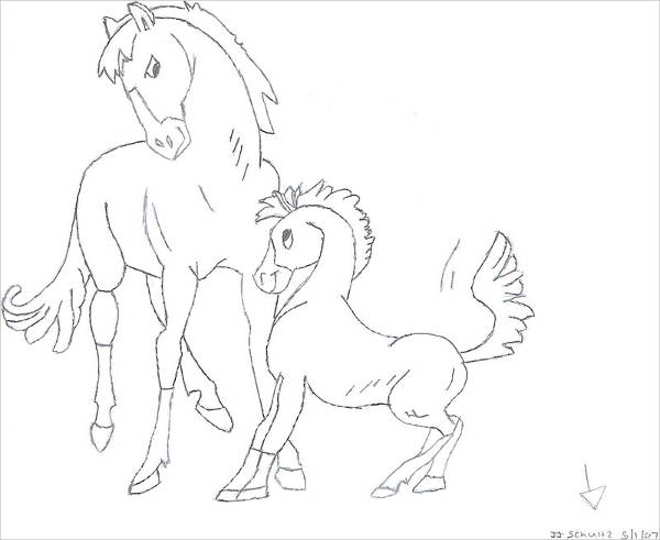 Cartoon Drawing Horse