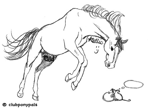 500x366 Wiggins Bi Weekly