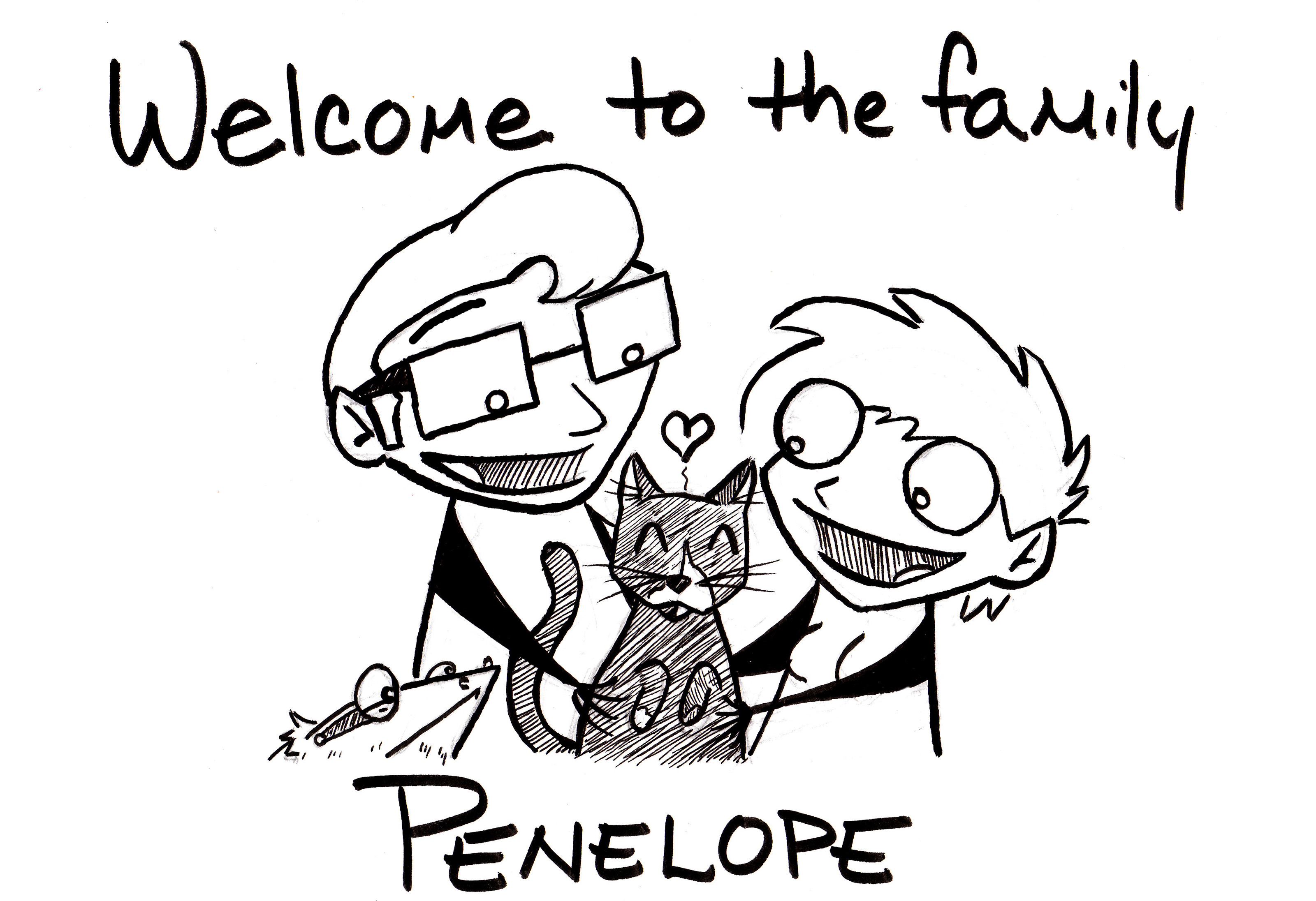 3200x2192 Drawing Shieldsink