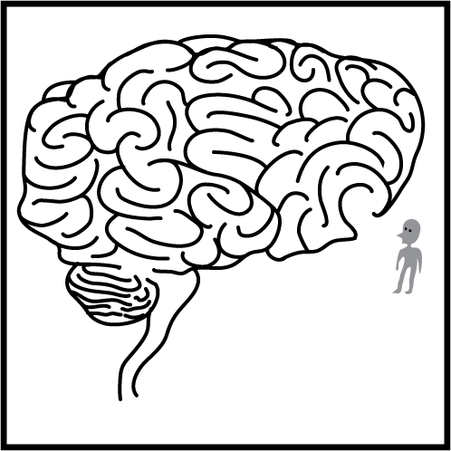 498x498 Brain Maze (Cartoon 34) Zooky World