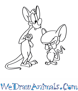 300x350 How To Draw Pinky And The Brain
