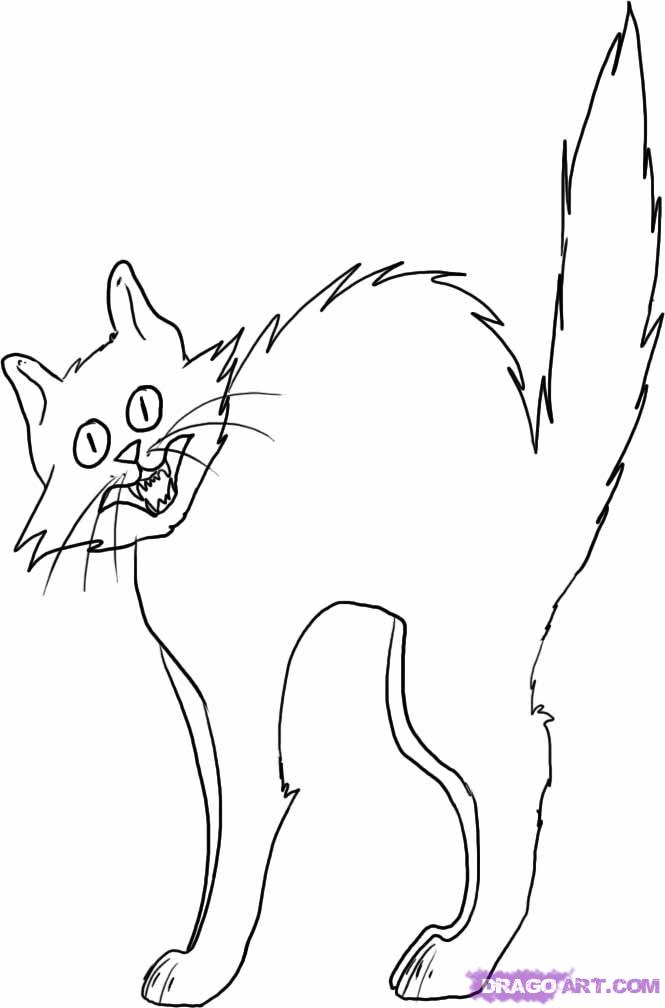 665x1008 Scared Cartoon Cat